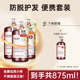 卓蓝雅(ZOOLY)洗发水控油防脱固发洗发露护发头皮营养剂套装 生姜洗护套装500ml+250ml