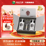 习酒银质习酒礼盒 酱香型53度白酒礼盒 礼品酒粮食酒贵州酱酒宴请送礼 53度 500mL 2瓶 定制礼盒装