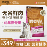 NOW FRESH进口无谷成猫粮 优质蛋白呵护泌尿全猫通用 8磅/3.63kg助力代谢