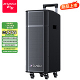 山水（SANSUI）T28 双8吋广场舞音响户外音响k歌专用大功率演出级移动蓝牙拉杆音响带双话筒吉他民谣乐器音箱