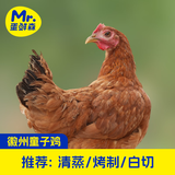 蛋鲜森 徽州童子鸡3只装共4.8斤 生鲜禽类 整鸡净膛 源头直发包邮