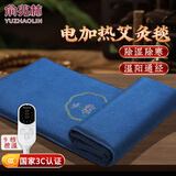 俞兆林艾灸毯热敷袋理疗袋全身通用加热艾草艾绒坐垫热敷艾灸电热毯家用