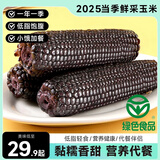 王老宝25年新玉米 东北糯玉米 精选大棒 真空玉米棒 低脂新鲜甜糯粘玉米 黑糯10支铝箔袋 单支240g以上