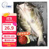 钓鱼记叉尾鮰鱼1.3斤-1.5斤(赠烤鱼酱) 二去净重 冷冻 烤鱼红烧生鲜鱼类