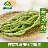 小汤山 架豆角 300g 基地直供新鲜蔬菜安全可追溯