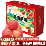 洛川苹果25年新品秦脆瑞雪维纳斯苹果水果礼盒水果生鲜送礼陕西延安特产 秦脆 20个75mm 礼盒装