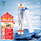 道尔顿（Doulton）【英国原装进口】净水器滤芯 KDF DIP301专用适配滤芯BioTect Ultra 9004型