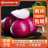 滇鲜生新鲜现挖紫洋葱蔬菜凉拌菜推荐新鲜圆葱蔬菜农家自种甜脆 新鲜紫洋葱3斤【带箱】