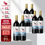 智象【热门商品】冰川赤霞珠干红葡萄酒750ml*6整箱智利进口红酒