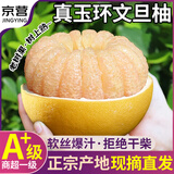 山姆大叔正宗台州玉环文旦柚【多地次日达】白心柚子非度尾蜜柚水果礼盒装 商超精品果｜6斤装｜2-3个｜净5斤+** 【S+级】10年优培新树果｜超甜