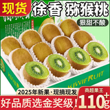 甜萌果蔬陕西眉县徐香绿心猕猴桃 国产奇异果徐香猕猴桃新鲜水果中秋礼盒 手挑精品果丨15枚 单果70g+ 狠甜 30年老树果丨徐香丨纯甜不酸