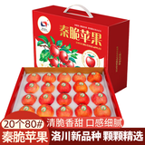 洛川苹果陕西延安特产红富士时令苹果水果礼盒送苹果生鲜新鲜脆甜整箱批发 【新品】秦脆20个80mm甄选礼盒装