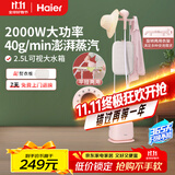 海尔（Haier）双杆立式挂烫机家用手持蒸汽电熨斗烫衣服带板大功率平挂两用多功能蒸气熨烫机HY-GS2408F