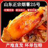 莲山九鲜山东烟薯25号新鲜沙地红薯糖心地瓜蜜甜薯番薯小香薯 中果净重9斤（单果约3-8两）