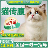 【空运 次日达】44l猫腹传针剂油剂干性湿性腹水腹膜炎可口服片剂 口服片剂4kg高含量76mg 10片*1盒