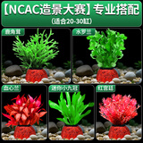 疯狂水草（FKSC）真水草鱼缸造景套餐净化水质懒人鱼缸水草植物直接入缸蜈蚣草 【赛级精品】专业搭配适合20-30缸