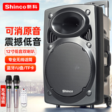 新科Z12 广场舞音响大功率低音炮移动户外K歌蓝牙拉杆麦克风音箱扩音器无线话筒摊摆喇叭 12英寸双话筒