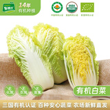 有机汇有机白菜 黄心紫心大白菜 有机生鲜蔬菜无农残 基地自产现采现发 黄心白菜 500g