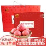 洛川苹果陕西延安特产红富士时令苹果水果礼盒送苹果生鲜新鲜脆甜整箱批发 15个85mm 心选果 礼盒装