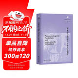 现象学心理学与社会文化实在