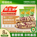 轻语拾光有机彩糯花玉米棒 200g*8棒 25年新鲜甜粘黏真空 早餐
