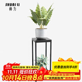 帅力铁艺花架 阳台户外花盆架子双层置物架绿萝盆景架SL8227Z黑