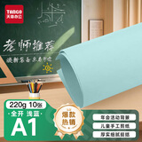 天章 （TANGO）【老师推荐】A1 220g浅蓝色全开彩色硬卡纸 加厚大尺寸海报纸涂鸦纸家长会节日活动背景纸 10张/包