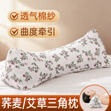 荆王御艾荞麦艾草三角枕颈椎枕护颈专用助眠纯天然家用呵护深度睡眠枕头