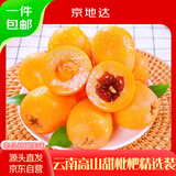 京地达云南蒙自高山老树甜枇杷净重5斤装单果25g起新鲜甜琵笆源头直发