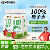 椰谷（YEGU）椰子水椰汁饮料天然电解质孕妇小孩可喝NFC果汁饮品 246g*10瓶（便携装）