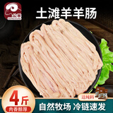 公羊新鲜羊杂冷冻生鲜半成品生羊杂批发心肝肺肚肠羊杂碎羊肉顺丰 4斤土滩羊羊肠