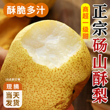 正鲜季（ZHENGXIANJI）正宗砀山梨酥梨薄皮梨当季新鲜水果砀山梨雪梨脆甜大果整箱安徽 5斤 【大果250g+】砀山直发|脆甜多汁