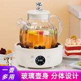 康猫养生壶全自动加厚玻璃煎中药壶办公室家用多功能智能预约保温煮茶器电水壶煲汤煮粥锅烧水 白金全智能款+玻璃茶壶 1.5L