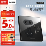 家的（GAMDER）开关86型不锈钢LED指示灯开关插座面板暗装 V16黑 双USB插座