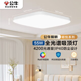 公牛（BULL）吸顶灯X19系列MX-B055E-ES 超薄三段调光客厅灯卧室灯55W 包安装