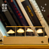 赟娅领养一朵云治愈系云朵小摆件桌面情绪稳定小夜灯新年生日礼物女生 晴雷雨雪四件套+七彩灯光+礼盒+手提袋