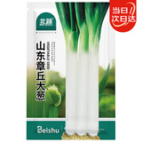 北蔬 大葱种子种苗正宗山东铁杆葱蔬菜种籽 山东章丘大葱种子1200粒