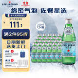 圣培露（S.Pellegrino）意大利含气天然矿泉水气泡水 饮用水 250ml*24瓶