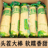 抱抱你 【大棒300g】头茬黄白玉米粘黏甜糯黑玉米棒营养代餐苞米玉米 白糯玉米12根*300g【甜糯杂粮】