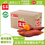 佳农宝菜兰考蜜薯香甜可口单果约100g+地瓜净重4.5斤装番薯源头直发