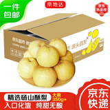 京地达砀山酥梨净重5斤大果约350g 现摘水果 雪梨贡梨子 源头直发 包邮 