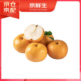 京鲜生 羊脂秋月梨 净重3斤 5粒 生鲜水果礼盒