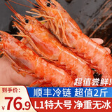朵芙【当日发】L1超大阿根廷红虾 进口大虾海鲜新鲜水产大虾似红魔 L1尝鲜装 2斤(净重)  21-23cm