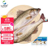 仙泉湖冷冻白蕉海鲈鱼2斤 肉厚刺少生鲜水产食材1斤*2条 生鲜食材