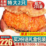 首鲜道 原装进口超大1-2只面包蟹鲜活熟冻螃蟹满黄大螃蟹中秋礼盒 面包蟹 2只共2400-2000g 净重