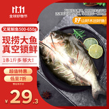 钓鱼记 斑点叉尾鮰鱼1斤-1.3斤 二去净重 冷冻 烤鱼红烧烤生鲜 鱼类海鲜