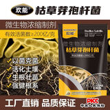 欢能枯草芽孢杆菌农用微生物菌剂菌肥防根腐水溶肥菌剂肥料改良土壤