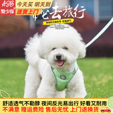 酷奇宠狗绳宠物狗狗牵引绳小型犬中型犬狗链狗绳子胸背带泰迪溜猫遛狗绳 升级大孔透气款 青绿色 中号 建议6-9斤内