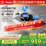 海尔（Haier）【麦浪套系】燃气灶天然气双灶 嵌入式台嵌两用 百搭锅防干烧防护 5.2kw猛火国家补贴20%QGBE2(天)