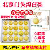 北京门头沟京白白梨 军庄镇东山京西贡梨 新鲜水果送礼品 5斤大果礼盒